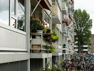  DSC1512