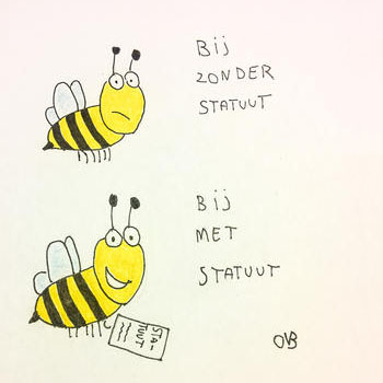 bijzonder-statuut